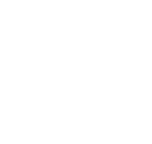 Snap Logo